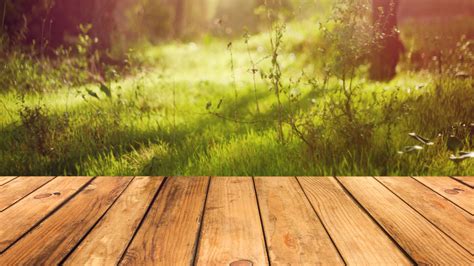 What's the most sustainable wood for my new deck? | Grist
