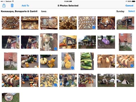 Tip of the Day: How to Send Multiple Recent Photos | iPhoneLife.com