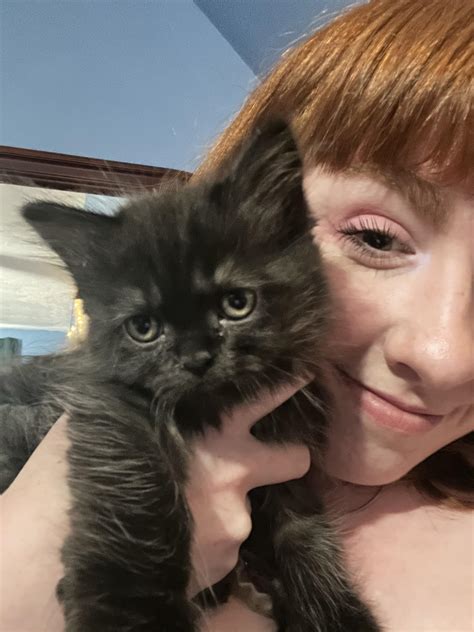 Sub Funded Kitten : r/findomsupportgroup