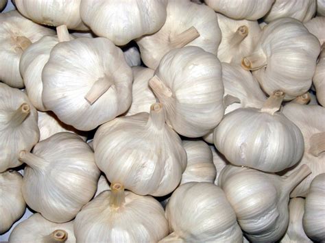 Garlic India (இந்தியா பூண்டு) 250g | Komalas Vegemart – Online Grocery ...