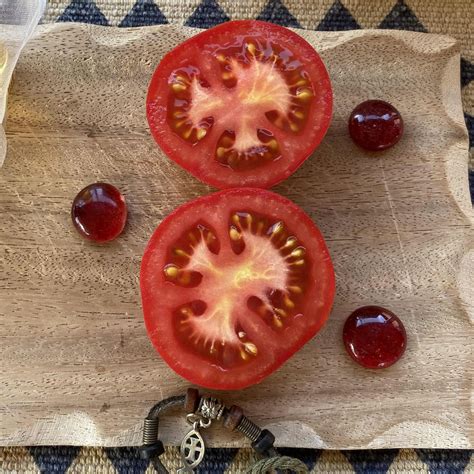 Saatgut / Samen von der Tomate Anastasia