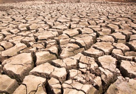 Drought Breaks Ground Fissures Stock Photo - Download Image Now