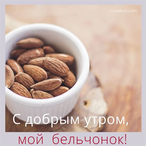 Доброе утро, мой бельчонок! - Картинки с пожеланиями - RozaBox.com
