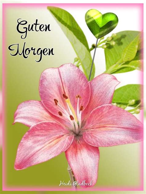 Guten Morgen Gruß von Heidi Gladbeck 💐💐💐 | Good morning, Bloom, Plants