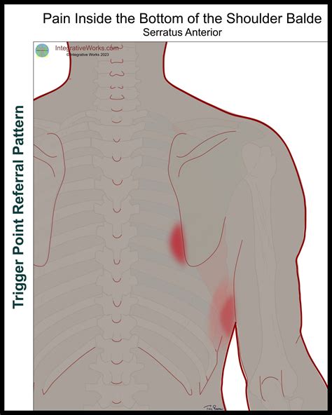 Nagging Pain Inside The Bottom of the Shoulder Blade - Integrative Works