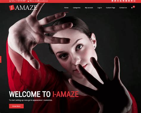 i-amaze - A Sleek, Gorgeous Multi-purpose WordPress Theme