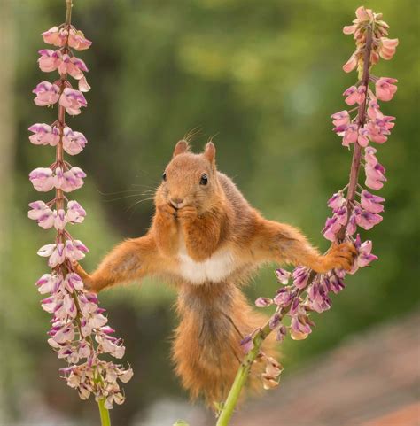 funniest wallpapers