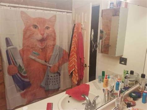 Необычные занавески для душа, которые действительно преображают ванную ...