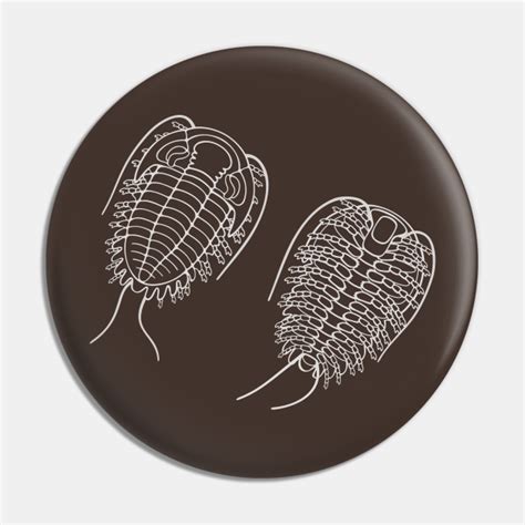 white  drawing  phacopid trilobite trilobite pin teepublic