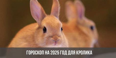 Гороскоп 2025 - 2025 Год Змеи