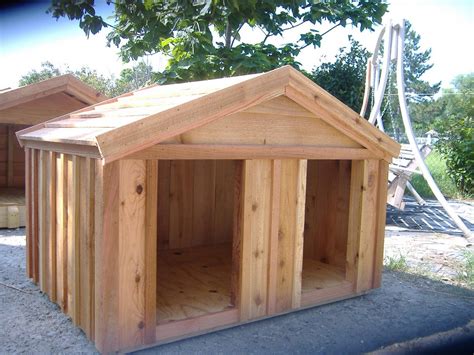 important ideas basic dog house plans amazing