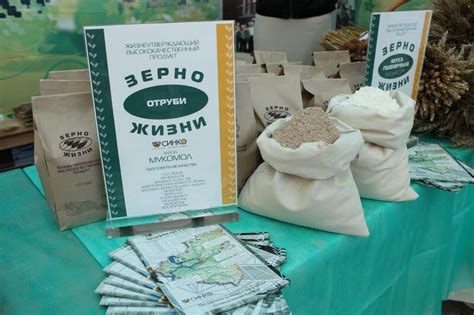 Купить отруби оптом от производителя - агрохолдинг Зерно Жизни