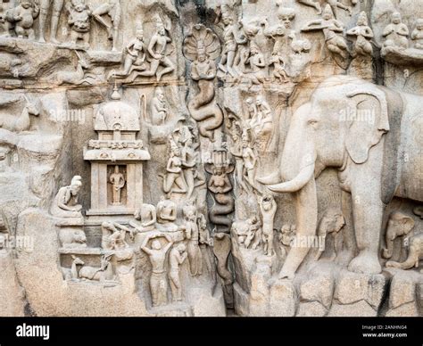 elephant statue mamallapuram mahabalipuram  res stock photography