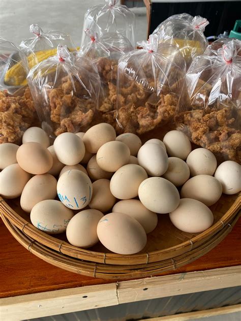 Martini Artnugan updated their cover photo. - Martini Artnugan