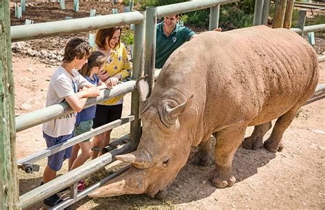 monarto zoo rhino interactive encounter  entry  monarto