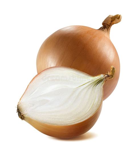 Bulbo Inteiro Comum Meios 2 Da Cebola Isolados Foto de Stock - Imagem ...