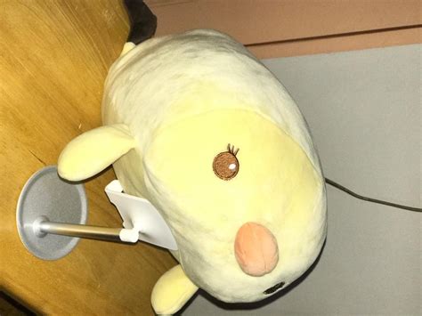 Miniso Duck Plush/Stuffed Toy, Hobbies & Toys, Toys & Games on Carousell