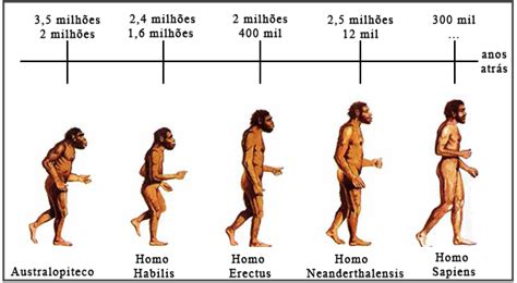 Evolução Humana: o que é, origem e etapas - Significados