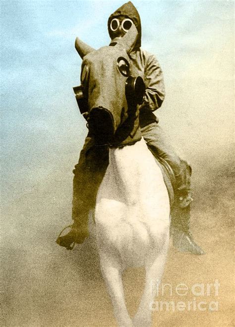 Gas Mask by Photo Researchers | Ww1 horse gas mask, Vintage gas mask