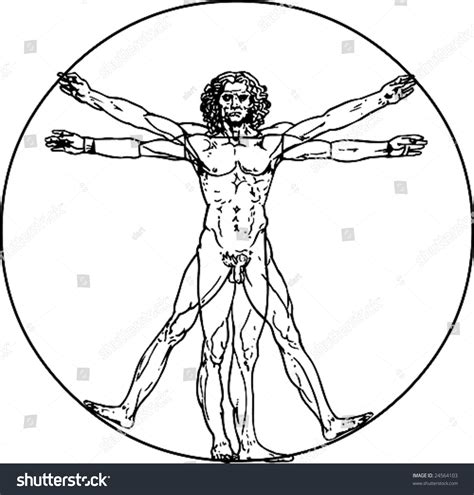 Leonardo Da Vinci'S Vitruvian Man In Vector - 24564103 : Shutterstock