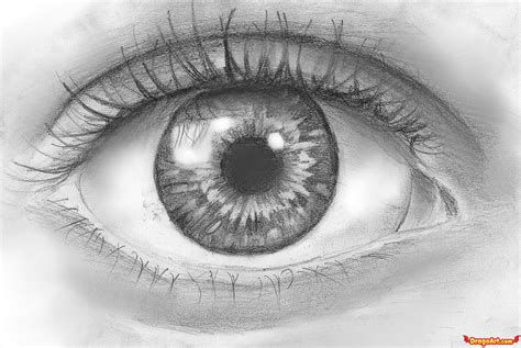Realistic Eyeball Drawing at PaintingValley.com | Explore collection of ...