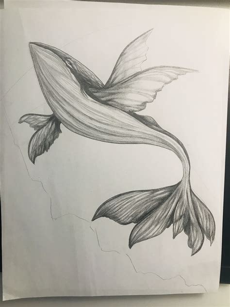 Dibujos De Animales Aesthetic