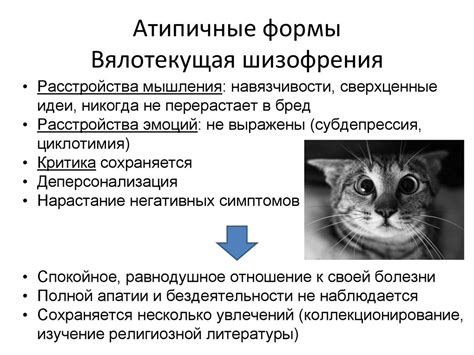 Основные формы шизофрении - презентация онлайн
