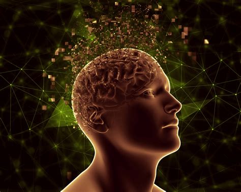 Neuroscientist: The Mind Is More Than a Machine — or Is It? | Mind Matters
