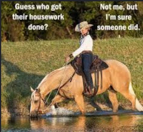 Favorite Horse Memes - THE THINKING EQUESTRIAN
