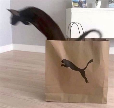 PUMA - Meme by Kaleno87 :) Memedroid