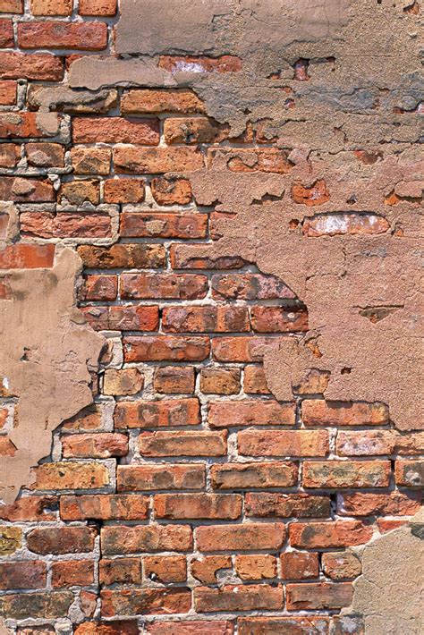 painting brick walls  step  step guide home wall ideas