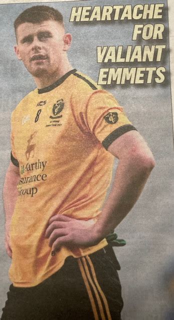 An Emmet and an emmet – Listowel Connection