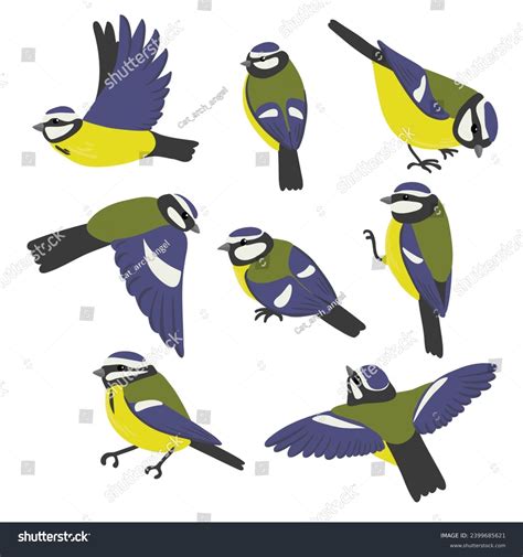 Vector Drawing Birds Hand Drawn Blue Stock Vector (Royalty Free