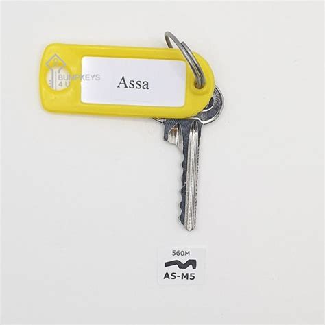 Assa (560M) - BumpKeys4U