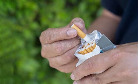 Close Up Man Hand Holding Peel it Off Cigarette Pack Prepare Smoking a ...