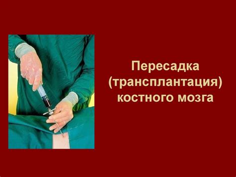 Пересадка (трансплантация) костного мозга - презентация онлайн