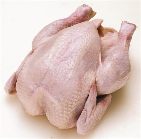 Продам мясо курицы бройлера — Agro-Uzbekistan