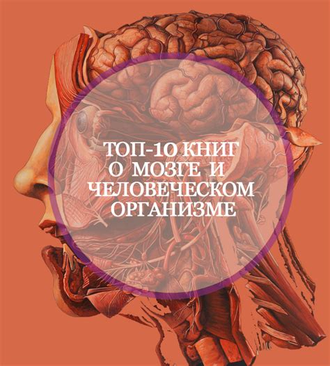 10 книг о мозге и человеческом организме, от которых не оторваться