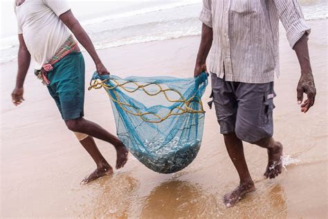 men carrying fish  net  stock photo