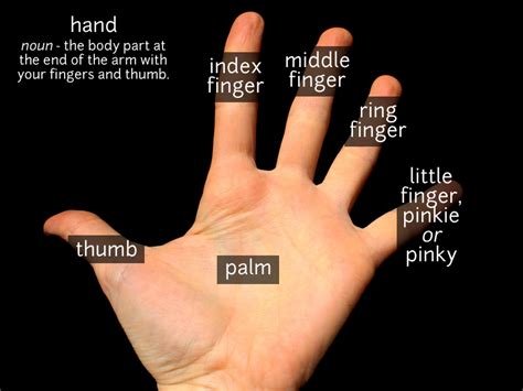 hand  fingers vocabulary funky english