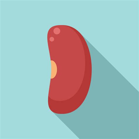 Garbanzo kidney bean icon, flat style 14571262 Vector Art at Vecteezy