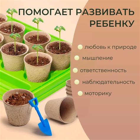 Набор юного садовода, детский набор для выращивания растений, мини ...