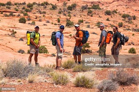 1,545 Sonoran Desert National Monument Stock Photos, High-Res Pictures ...