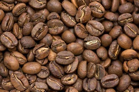 Купить кофе Никарагуа Марагоджип в Москве с доставкой: цена | Coffee Planet