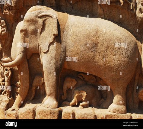 Stone Sculpture of Elephant in Mahabalipuram World Heritage Center ...