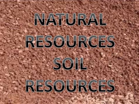 PPT - NATURAL RESOURCES SOIL RESOURCES PowerPoint Presentation, free ...