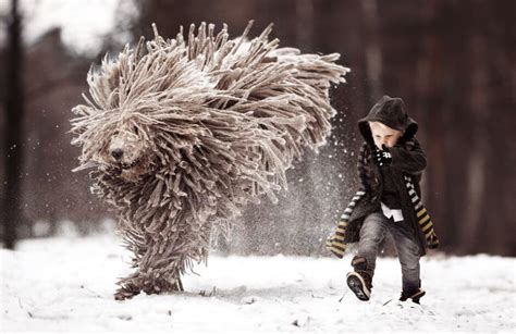 Poza 2 - FOTO » Cele mai tari imagini cu un câine! Sunt abslout ...