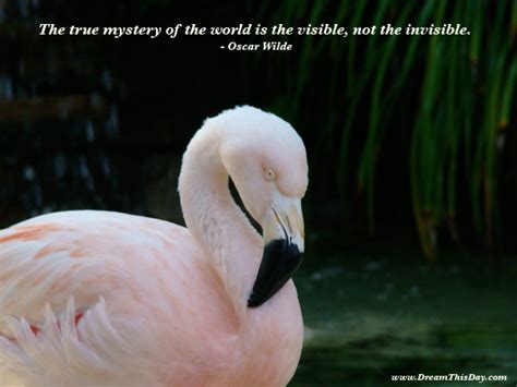 Inspirational Quotes by Oscar Wilde