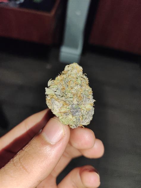 Blue Gelato Marijuana Strain Information & Reviews | AllBud
