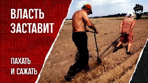 Есть дача? Плати штраф! Поборы власти усиливаются - YouTube